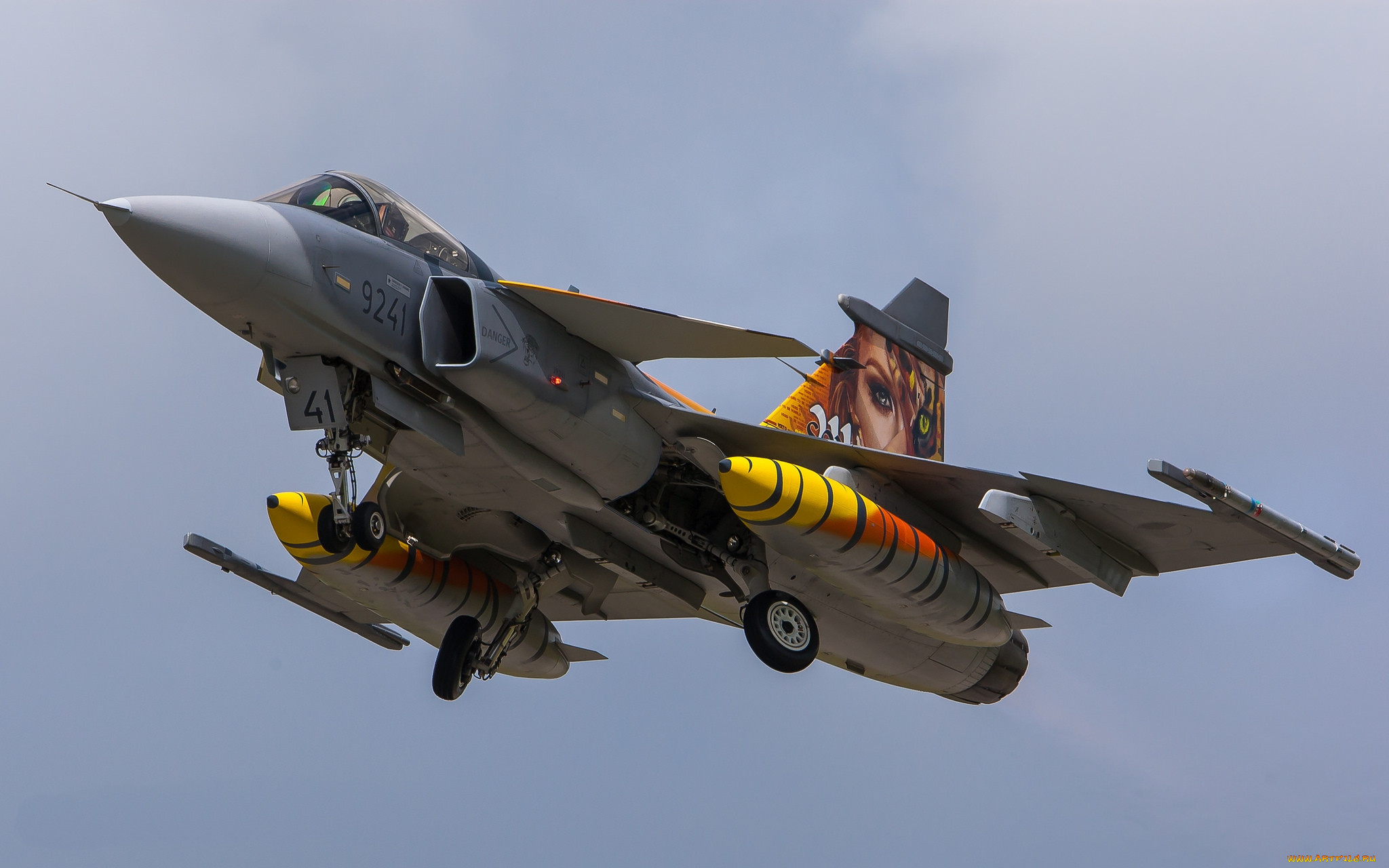 jas-39c gripen, ,  , 